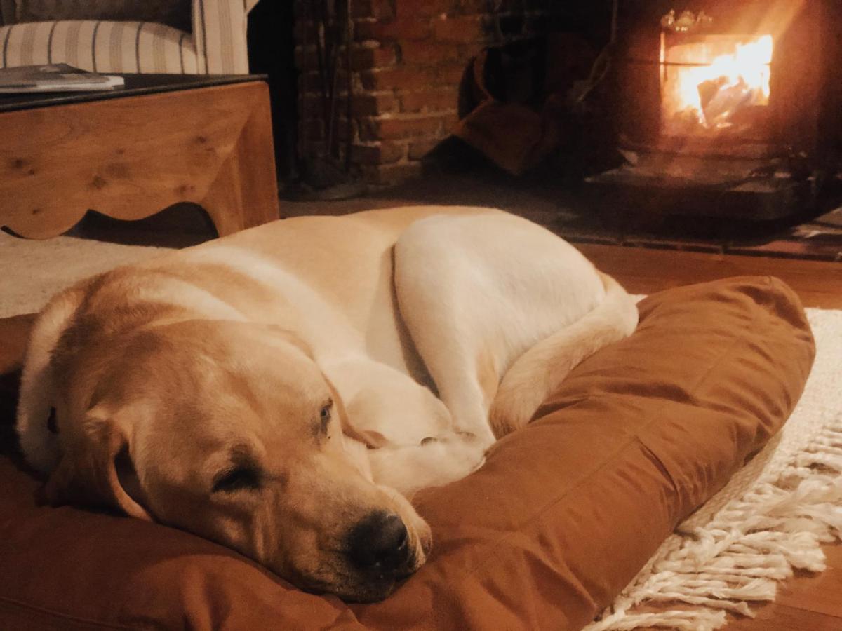 Cedar Hill Farm B & B Essex Екстер'єр фото
